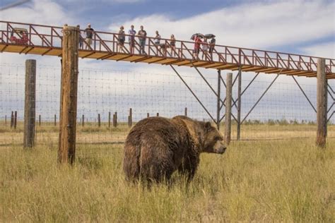 Take a look inside the new Wild Animal Refuge in southern Colorado